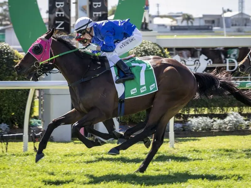 Calypso Bay has upset his rivals in the TAB Handicap at Doomben, winning at $81. Calypso Bay wins at Doomben.