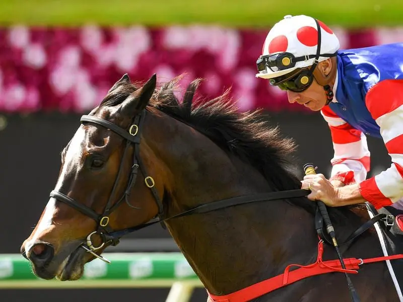 A trip to Brisbane has helped Sydney sprinter Single Bullet recapture winning form. Single Bullet wins at Eagle Farm.