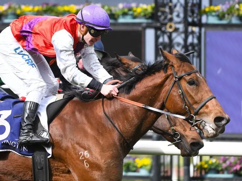The Anthony Freedman-trained Heirborn remains unbeaten after winning at Flemington. Heirborn wins at Flemington.