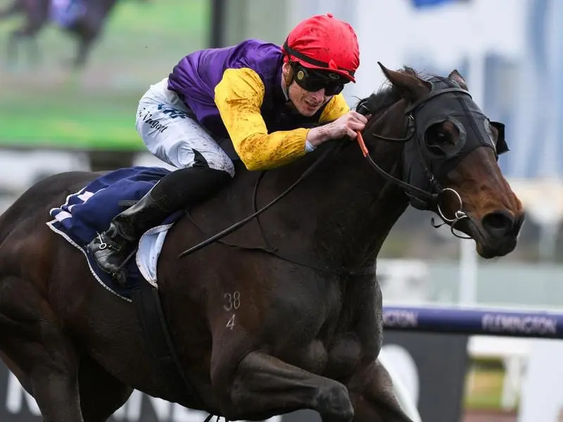 Teo Nugent wins on Jinda at Flemington.