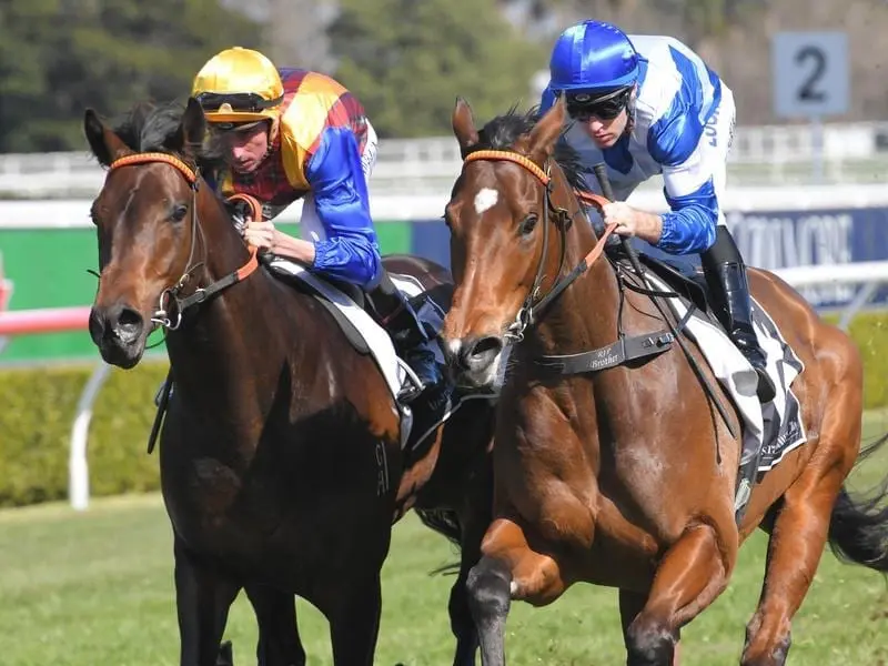 Prince Fawaz (left) and Libertini complete an exhibition gallop.