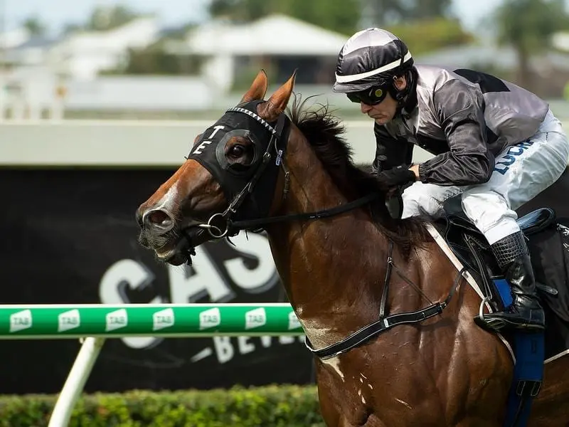 Australian sprinter Houtzen is scheduled to line up in the Group One Nunthope Stakes at York. houtzen