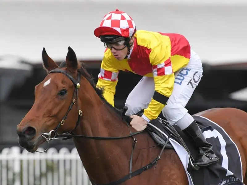 Tim Clark wins on Wimlah at Rosehill.