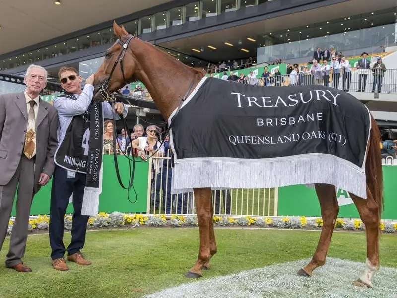 Queensland Oaks winner Winning Ways is one of the favourites to win the state's Horse of the Year. winning ways
