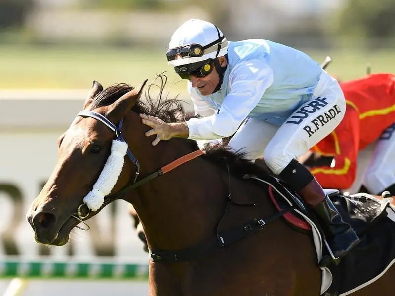 River Racer resumes at the Gold Coast.