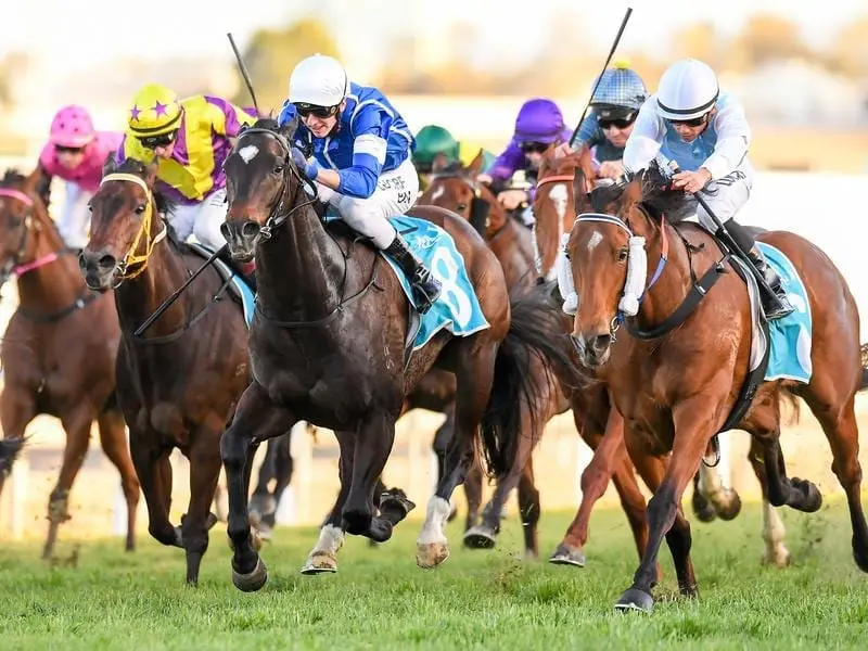 River Racer (right) wins at the Gold Coast.