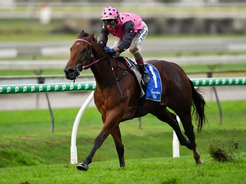 Crafty Cop will get some weight relief on recent starts when he runs at the Gold Coast. crafty cop