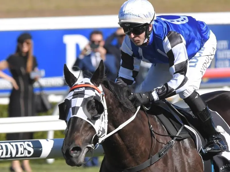 Our Candidate is bound for Newcastle Gold Cup.