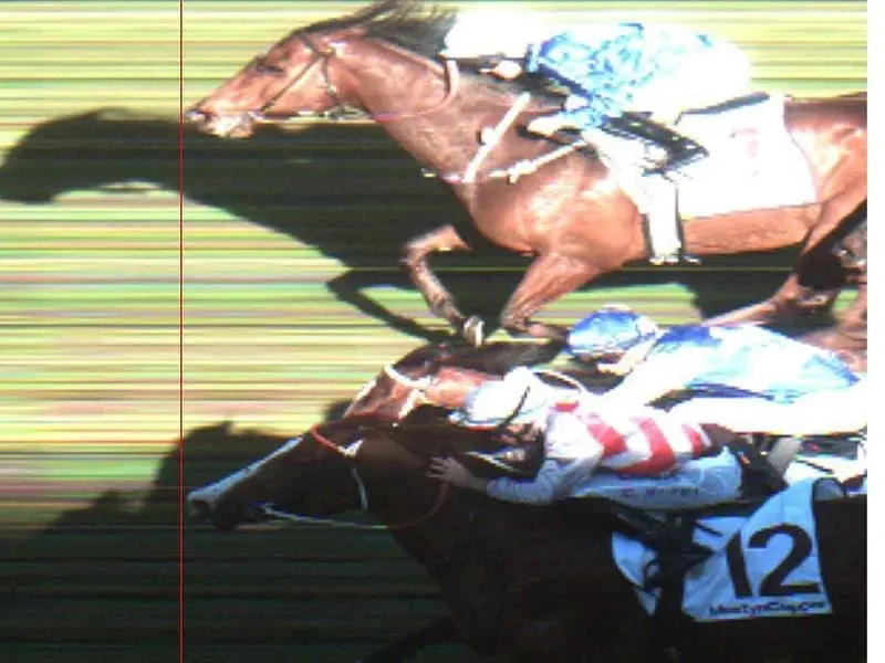 The barest margin separated the winner Deprive (top) and Trope (below) in the Show County Quality. Official photo-finish from the Show County Quality.