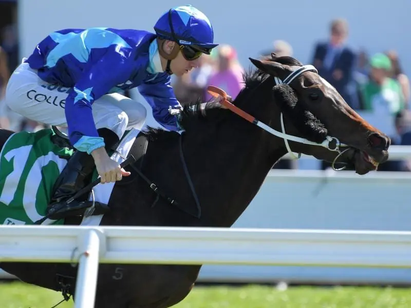 Charlotte's Heart wins at Randwick.