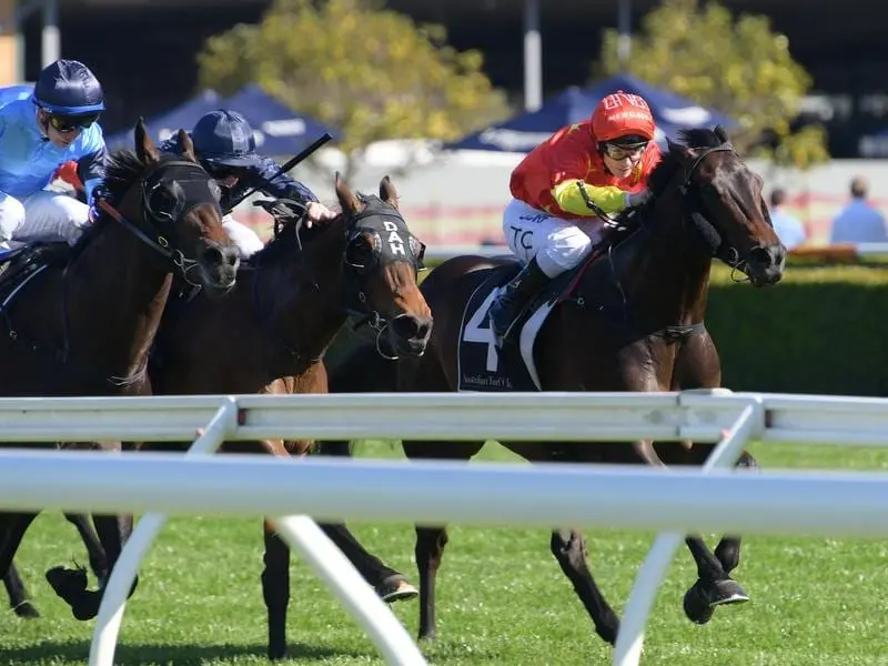 Mandela (right) wins at Randwick.