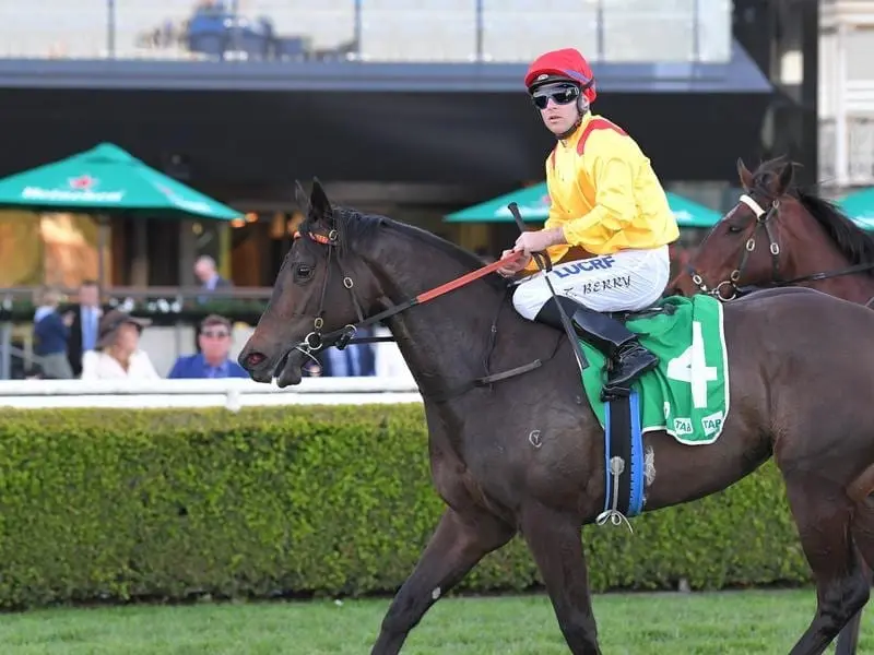 Mizzy after winning the Toy Show Quality at Randwick.