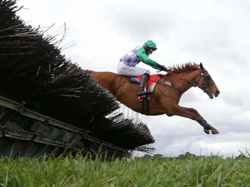 Master Poet has given fledgling trainer Amy Mcdonald an important victory at Sandown. master poet