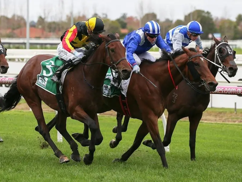 Import Alfarris (centre) makes his return at The Valley as a stepping stone towards longer targets. Alfarris (centre) returns to racing at The Valley.