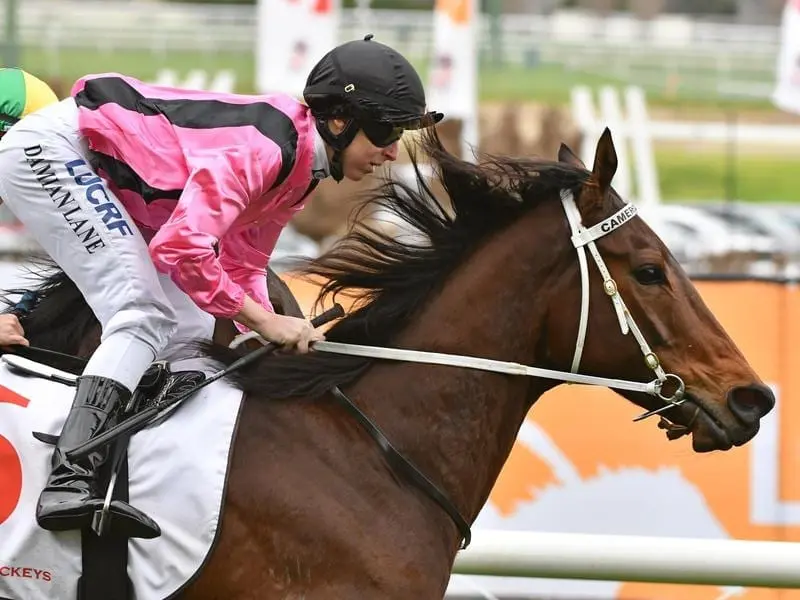 Star jockey Damian Lane has been reunited with I Boogi for an impressive win at The Valley. I Boogie wins at Moonee Valley.