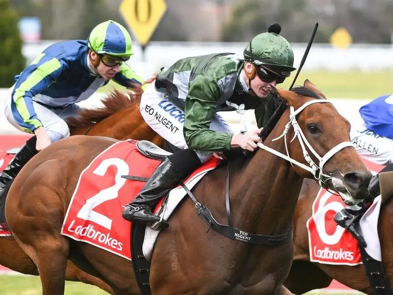 Shared Ambition wins at Caulfield.