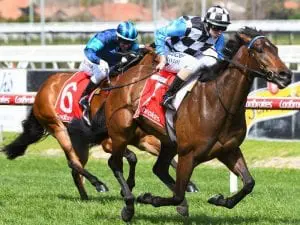 Bel Esprit Stakes tips, odds & betting strategy | 17/4 Prophet's Thumb