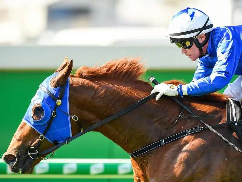 Meet Mr Taylor wins at Doomben.