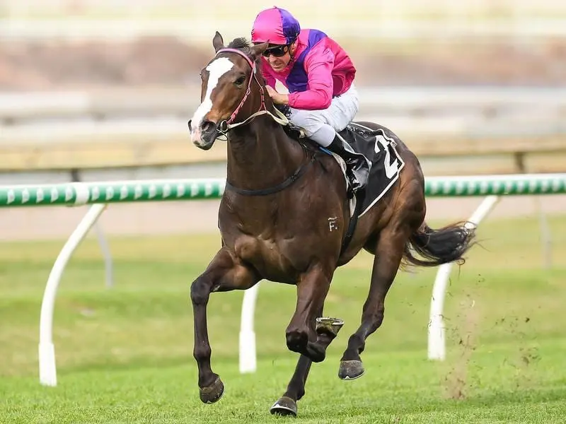 Ryan Maloney rides Better Reflection to victory in race 6 at Doomben