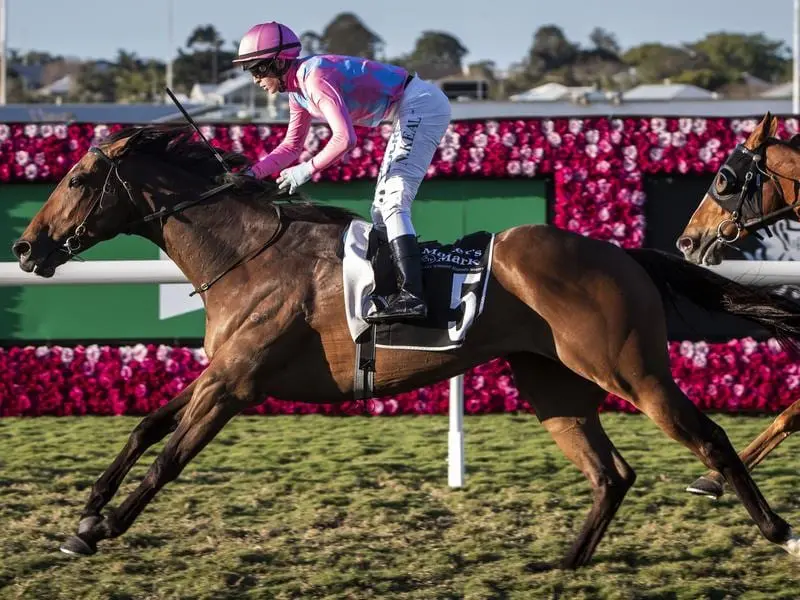 Ladies Day Cup betting tips Looks Like Elvis