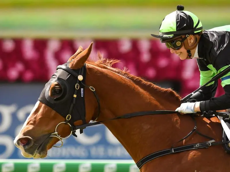 Reckless Choice wins at Eagle Farm.