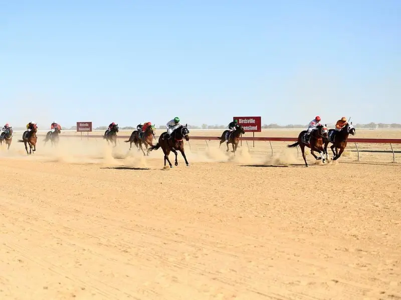 birdsville races