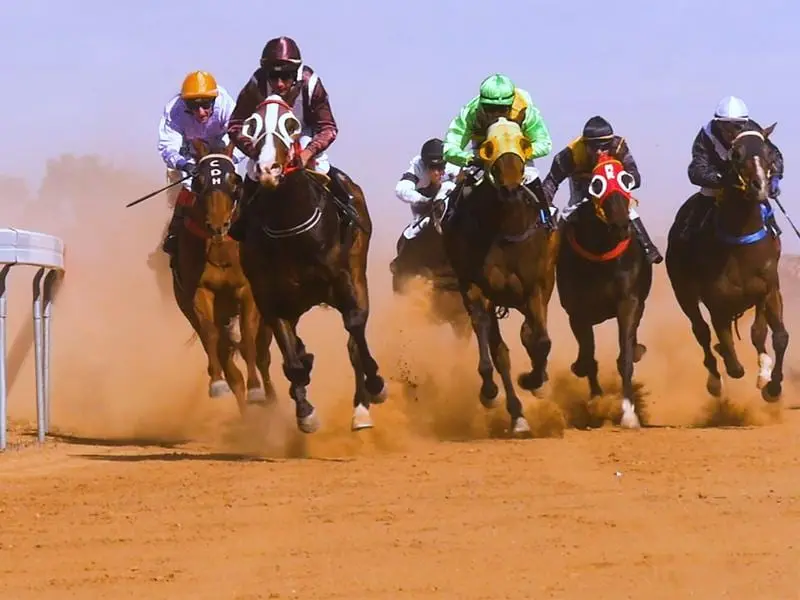 Horse racing in rural NSW is suffering because of the effects of the unprecedented drought. drought nsw