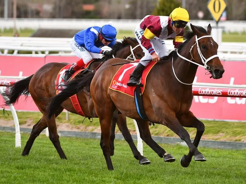 Brimham Rocks has not received a Caulfield Cup penalty for his win in the Naturalism Stakes. brimham rocks