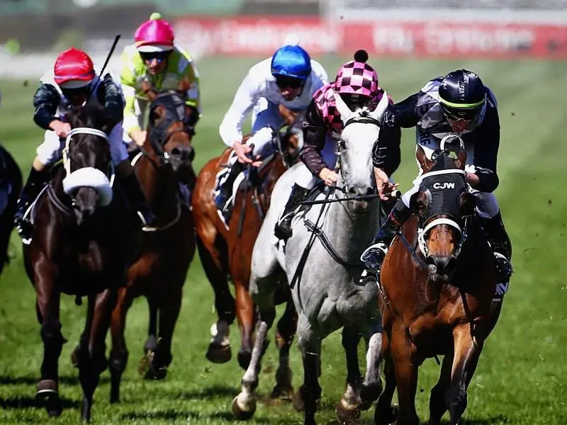 Myer Classic winner Red Tracer (r) is one of four Group 1 winners left by the late stallion Dane Shadow. red tracer (r)