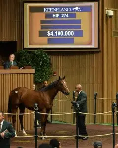 Curlin colt out of Bounding