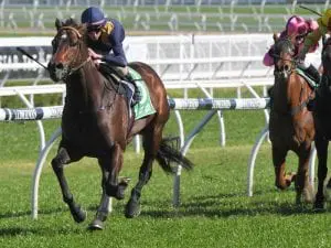 Gollan eyeing three in a row with Baller in Healy Stakes Baller