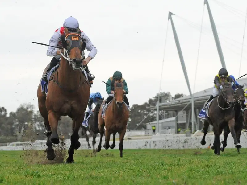 Trainer Kris Lees will take the blinkers off Graff (l) for his assignment in the Concorde Stakes. graff