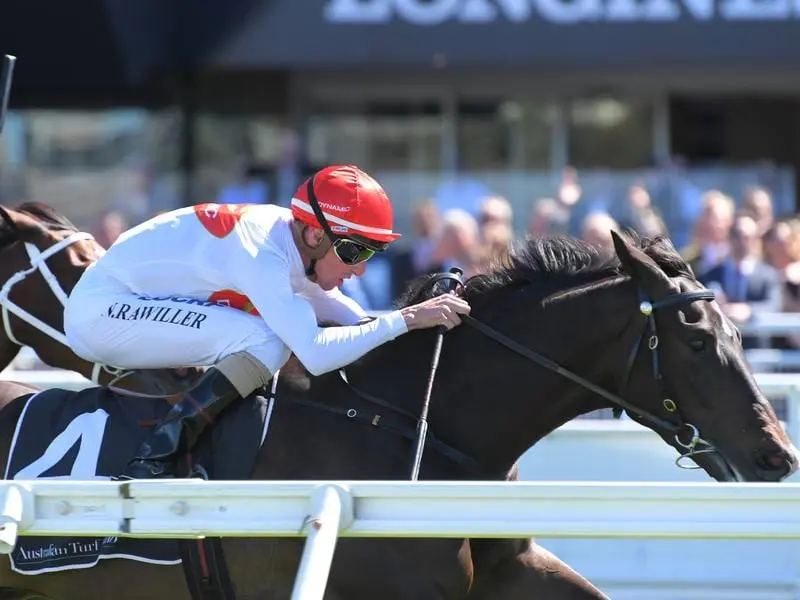 Yao Dash wins at Randwick.