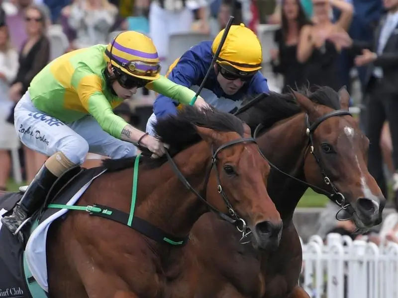 Dr Drill beat Rapido Chaparro by a short neck in the Monstar Foundation Handicap at Rosehill. Jockey Robbie Dolan rides Dr Drill