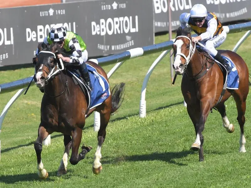 James McDonald rides Mister Sea Wolf to victory in race 4 at Rosehill