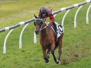 Winter Cup betting tips & trifecta picks – Saturday, 13 June 2020 Wu Gok