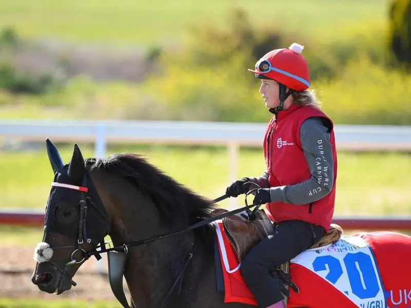 English Cups contender Prince Of Arran has settled into Werribee well on his 2nd trip to Australia. prince of arran