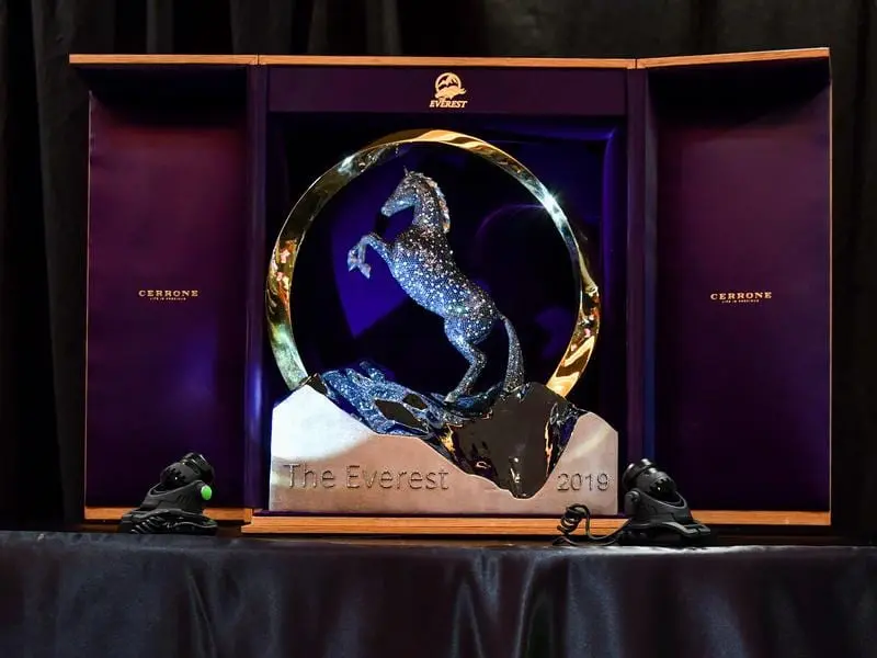 A place in the $14 million Everest is up for grabs in the Schilaci Stakes at Caulfield. the everest trophy