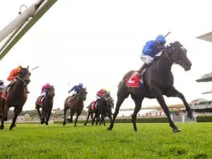 Avilius to put Plate credentials on show