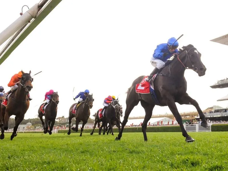 Last-start Group One George Main winner Avilius is in Melbourne for the Caulfield Stakes. avilius