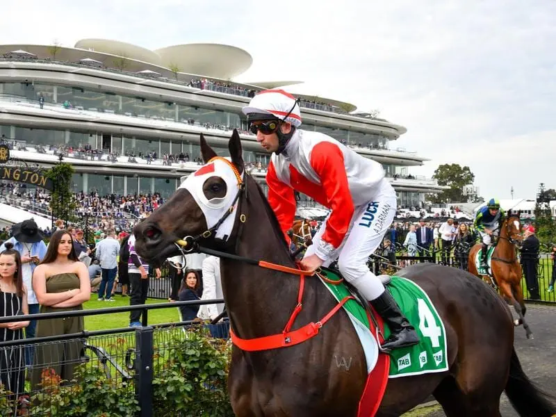 One-time Cox Plate favourite Mystic Journey is primed for the weight-for-age showpiece. mystic journey