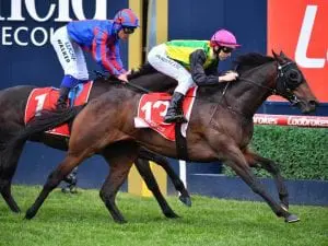 Murray Baker hopes Cup is the chosen one