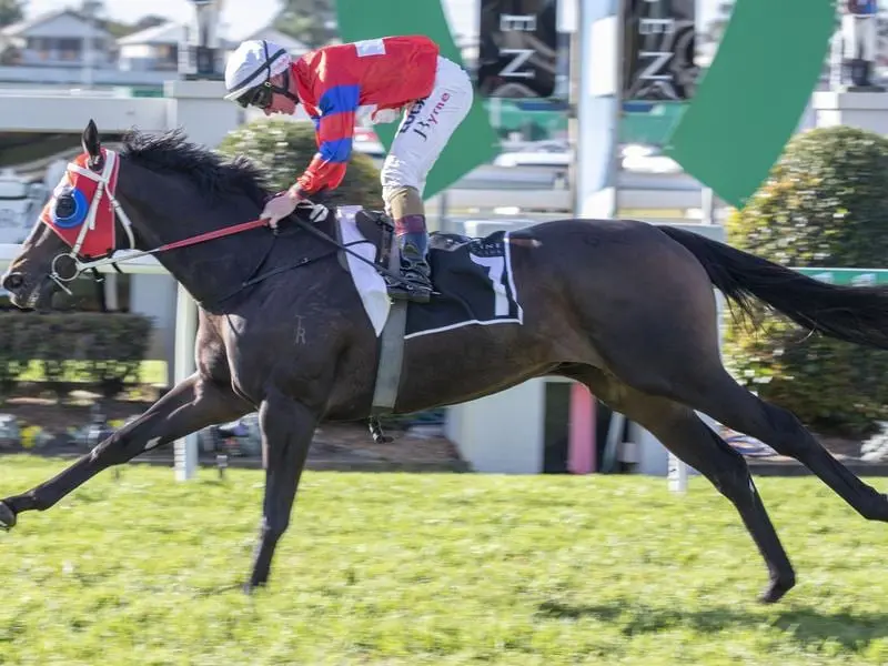 Some of Brisbane's biggest summer races are the aim for the Trevor Miller-trained Victory Eight. Victory Eight.