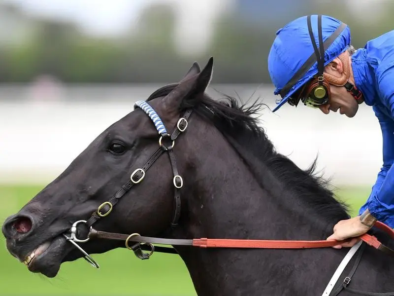 Former Godolphin horse, the Natalie McCall-trained Spectroscope, returns at Eagle Farm. spectroscope