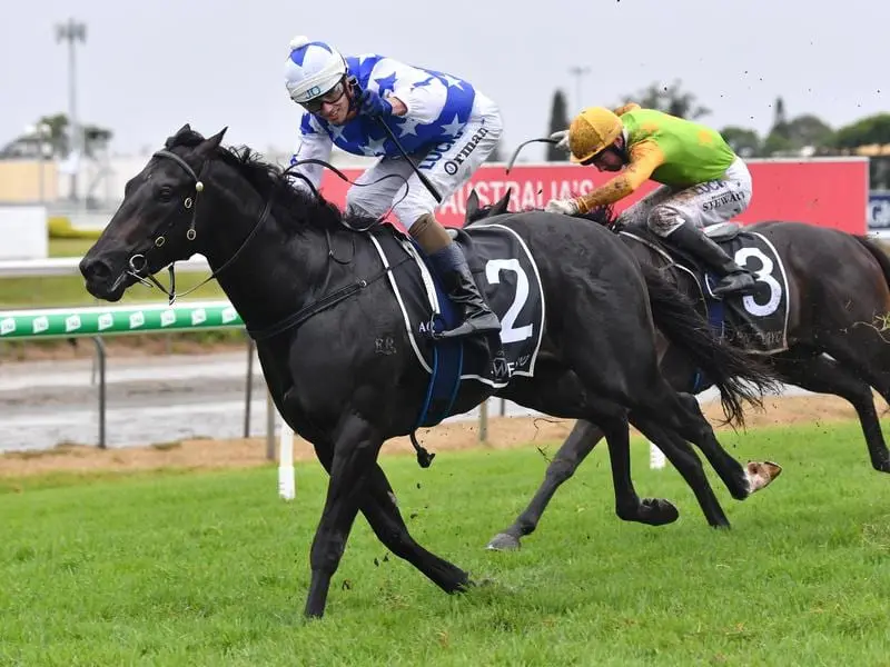 Trainer Kelly Schweida is looking to The Odyssey to return to form fitter and trimmer at Eagle Farm. the odyssey