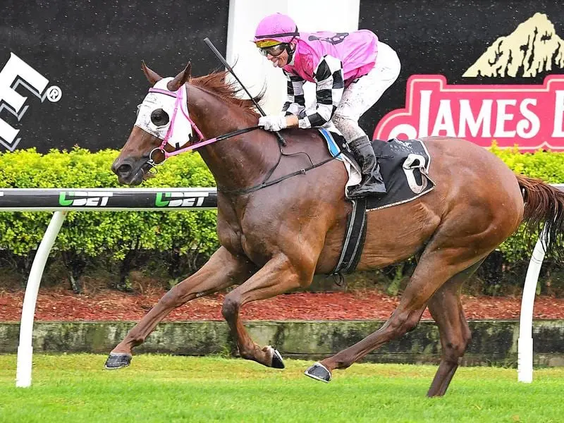 Tisani Tomso will run at Eagle Farm just days after competing at the Sunshine Coast. tisani tomso