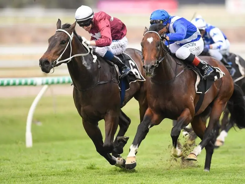 Xanthus (left) can help earn his way to the Magic Millions with victory at Eagle Farm. xanthus