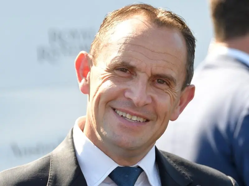 chris waller