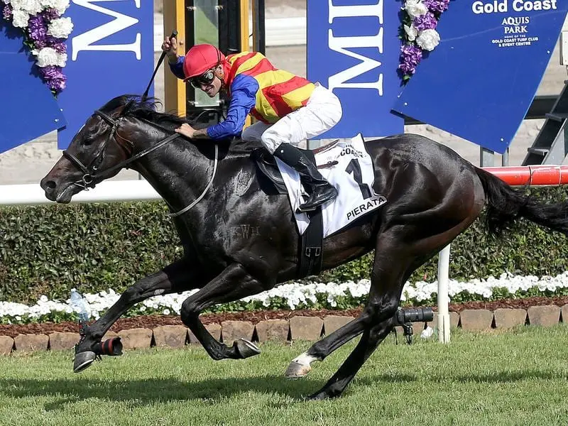 Pierata will contest the $14 million Everest.