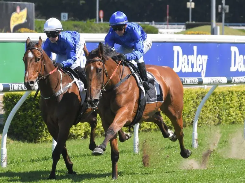 Alizee (blue cap) will run for her owner Godolphin in the $14 million Everest. alizee